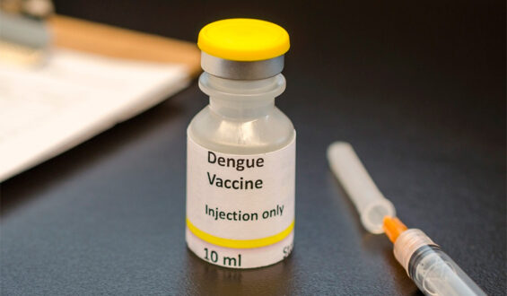 Vacina contra a Dengue no SUS: a importância do investimento em inovação